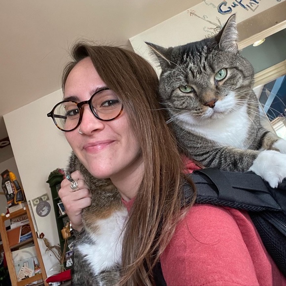 Drip. - Picture 1 of 1